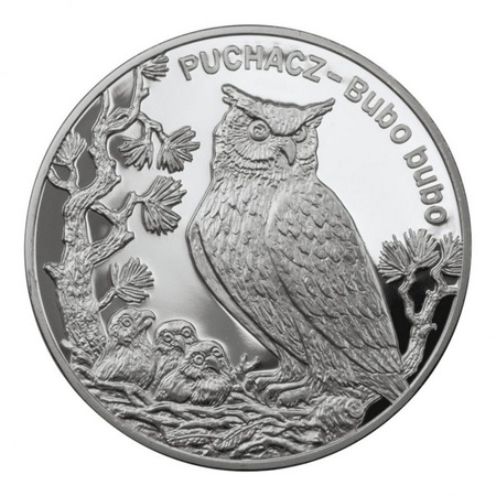 Zwierzęta świata - Puchacz